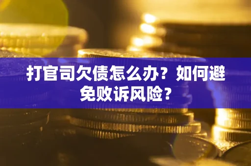 北京打官司欠债怎么办？如何避免败诉风险？