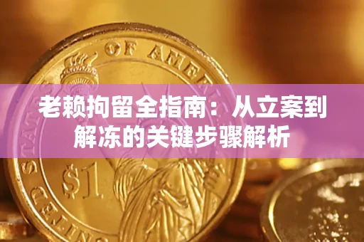 北京老赖拘留全指南：从立案到解冻的关键步骤解析