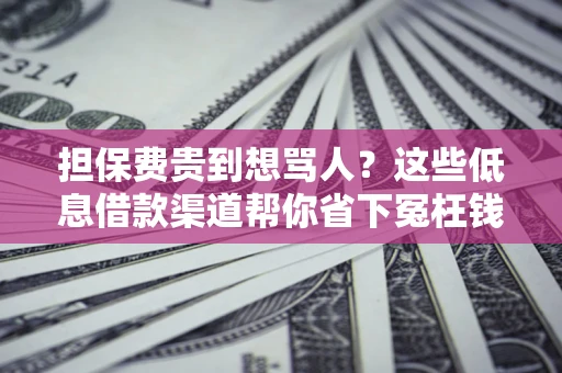 北京担保费贵到想骂人？这些低息借款渠道帮你省下冤枉钱