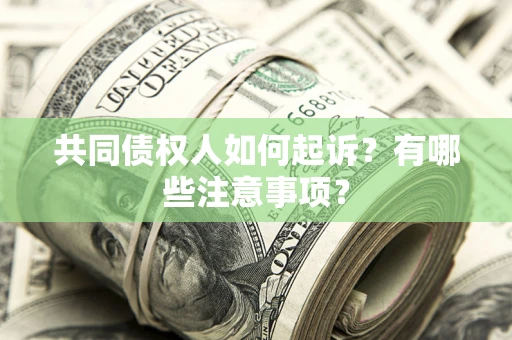 北京共同债权人如何起诉？有哪些注意事项？